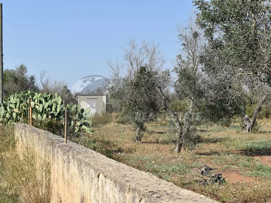 Immagine 33 di Casa indipendente in vendita  in Via Bernardino Desa 14 a Copertino
