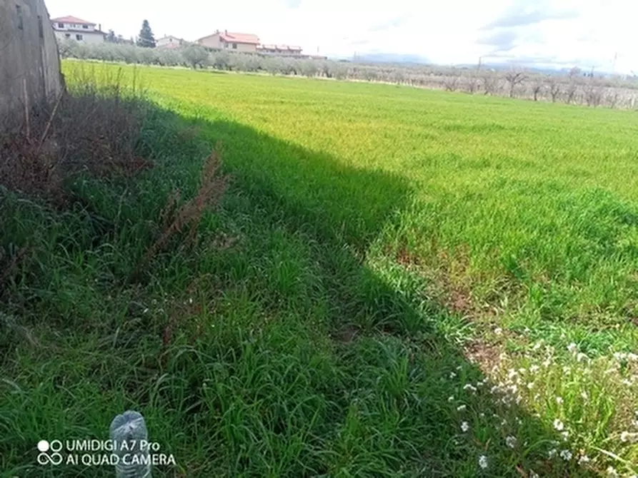 Immagine 9 di Terreno agricolo in vendita  a Fossacesia