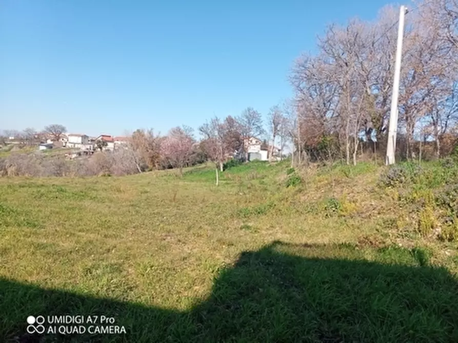 Immagine 2 di Rustico / casale in vendita  in CONTRADA MORGE a Castel Frentano