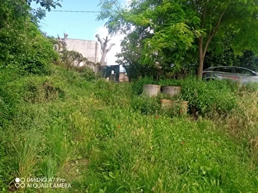 Immagine 2 di Terreno agricolo in vendita  in CONTRADA MARCIANESE a Lanciano