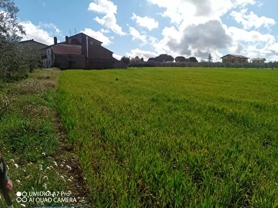 Immagine 5 di Terreno agricolo in vendita  a Fossacesia