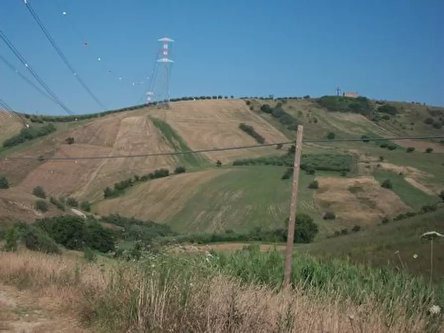 Immagine 9 di Terreno agricolo in vendita  in C.DA RIZZACORNO a Lanciano