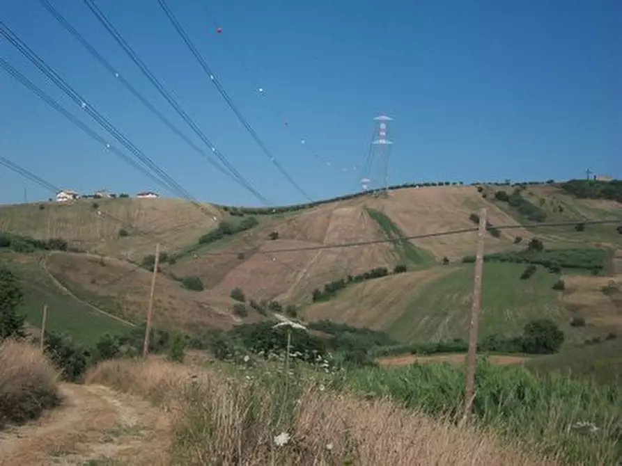 Immagine 11 di Terreno agricolo in vendita  in C.DA RIZZACORNO a Lanciano