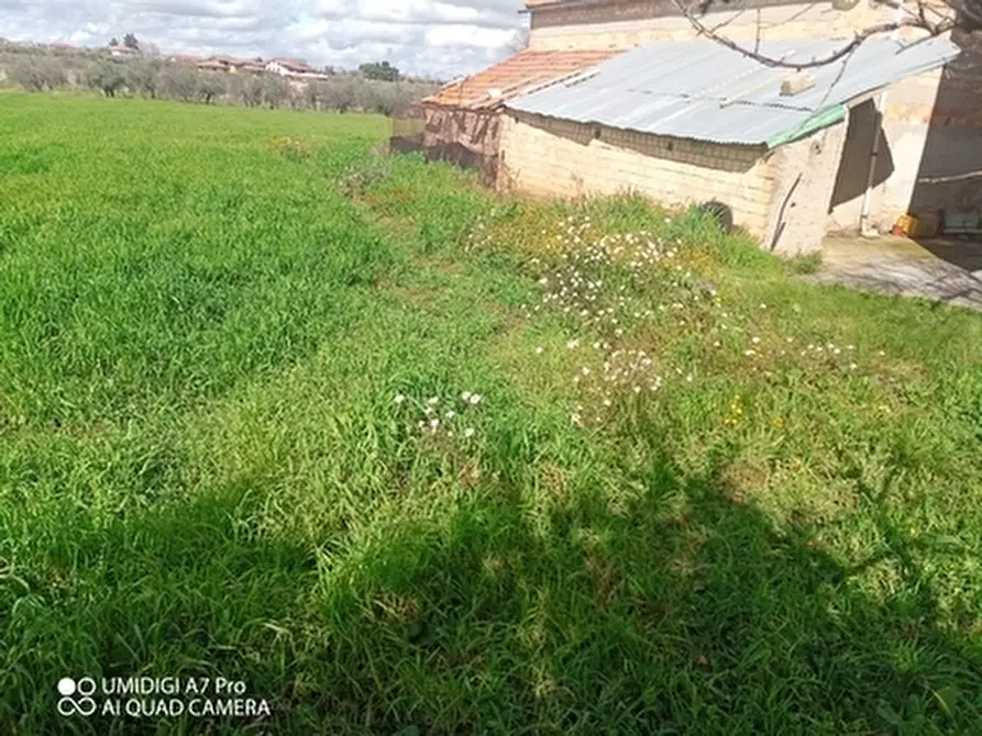 Immagine 16 di Terreno agricolo in vendita  a Fossacesia