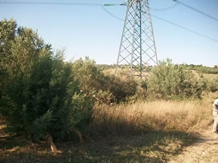 Immagine 3 di Terreno agricolo in vendita  in C.DA RIZZACORNO a Lanciano
