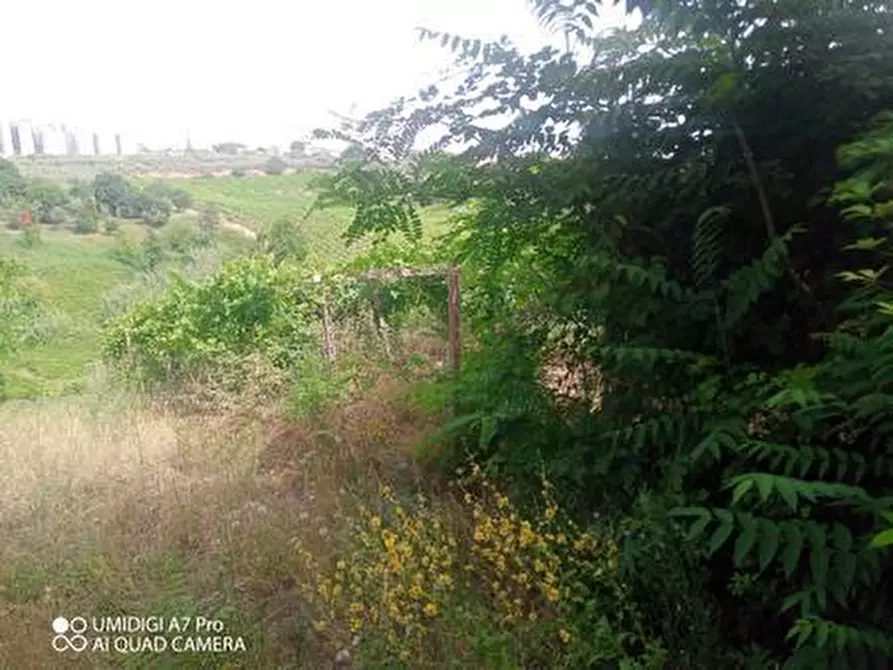 Immagine 22 di Terreno agricolo in vendita  in C.DA VILLA STANAZZO a Lanciano