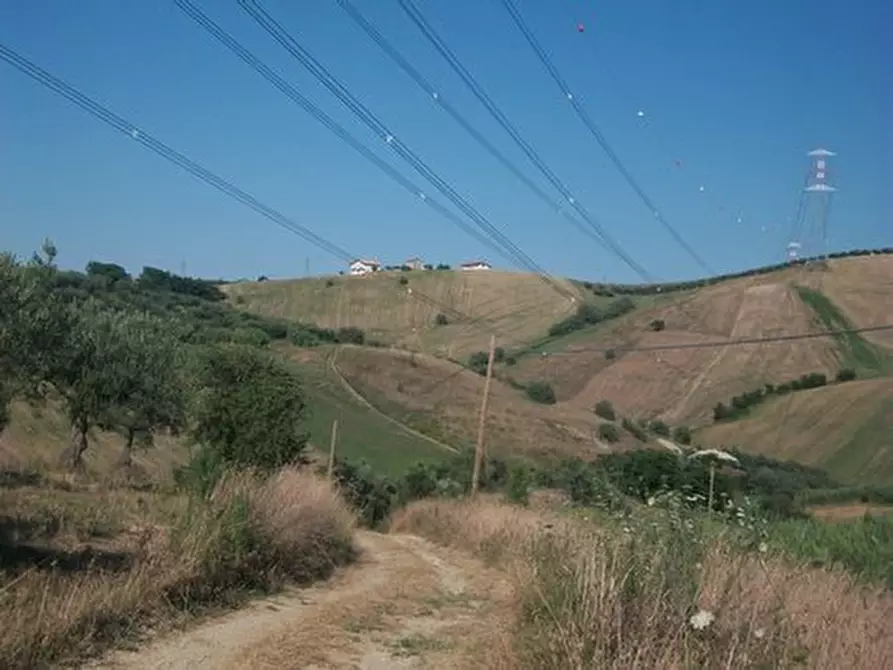 Immagine 12 di Terreno agricolo in vendita  in C.DA RIZZACORNO a Lanciano