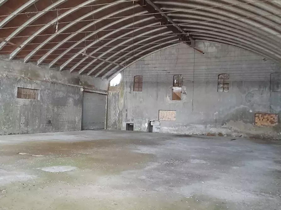 Immagine 25 di Attività artigianale in vendita  in C.DA PIANA LA BARCA a Paglieta