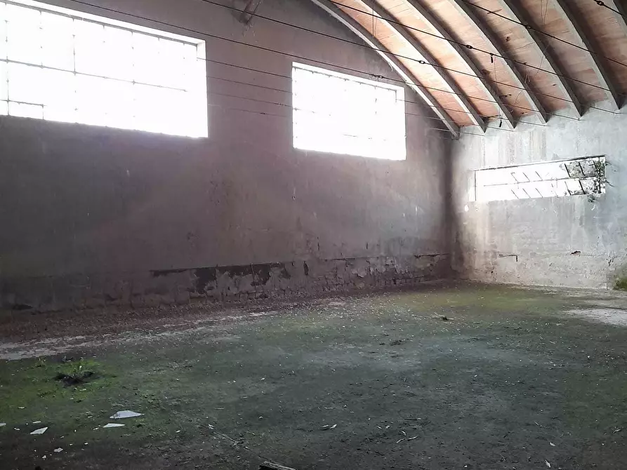 Immagine 13 di Attività artigianale in vendita  in C.DA PIANA LA BARCA a Paglieta