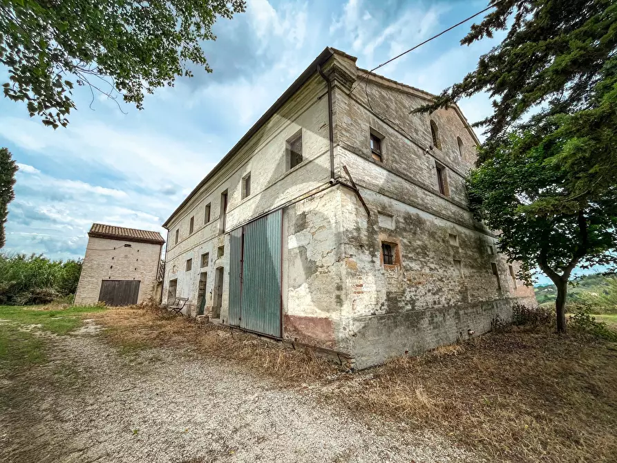 Immagine 29 di Rustico / casale in vendita  a Jesi