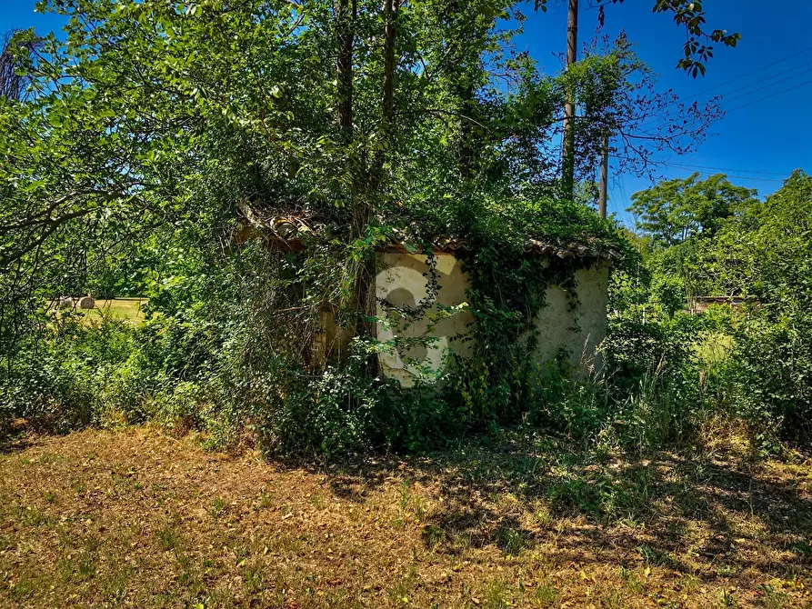 Immagine 8 di Rustico / casale in vendita  a Trecastelli