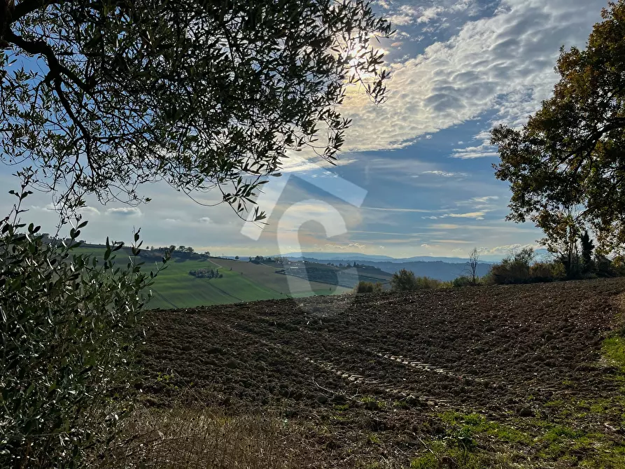 Immagine 30 di Rustico / casale in vendita  a Belvedere Ostrense
