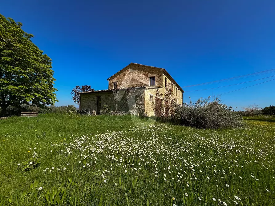 Immagine 12 di Rustico / casale in vendita  a Serra San Quirico