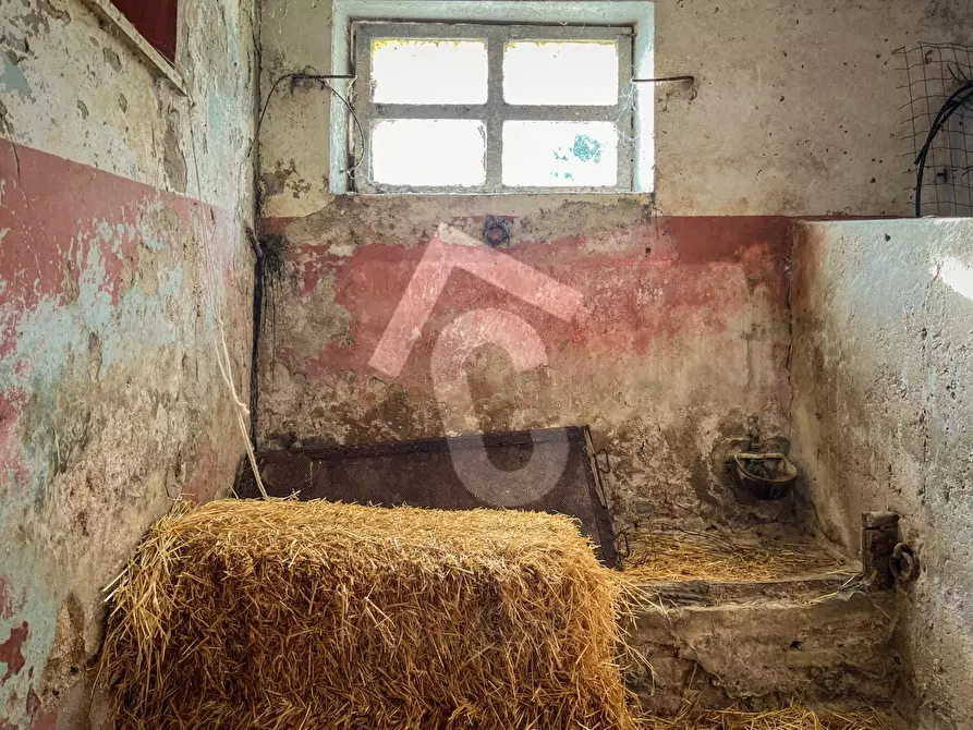 Immagine 47 di Rustico / casale in vendita  a Staffolo