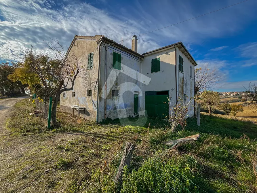 Immagine 24 di Rustico / casale in vendita  a Belvedere Ostrense