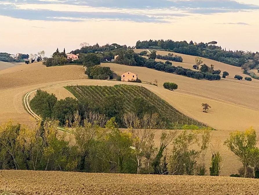 Immagine 1 di Rustico / casale in vendita  a Jesi