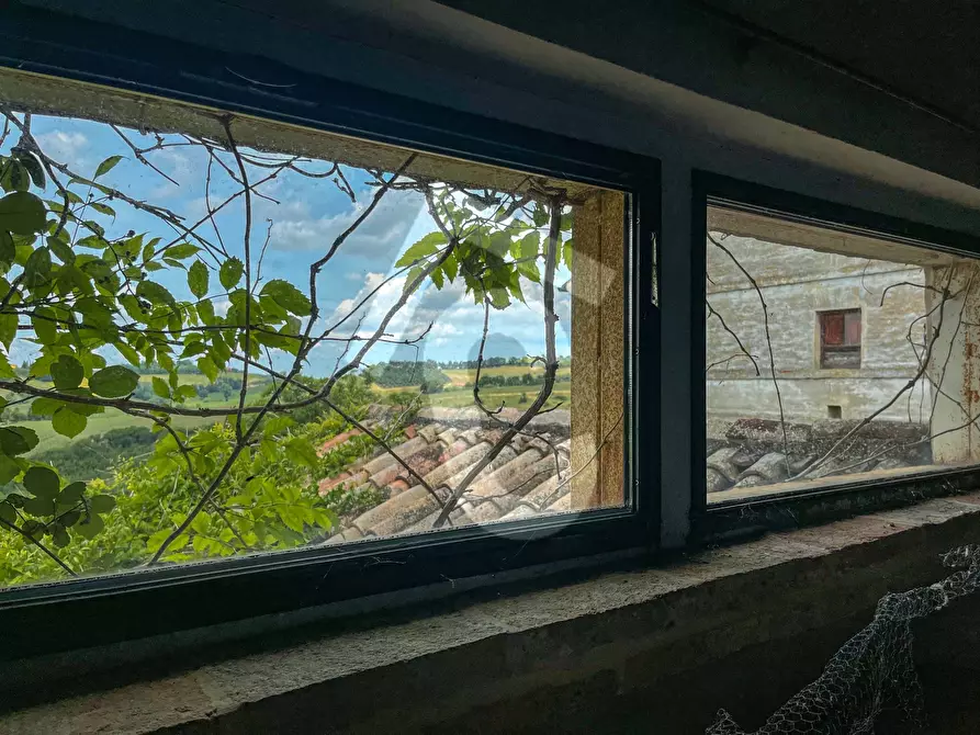 Immagine 10 di Rustico / casale in vendita  a Jesi