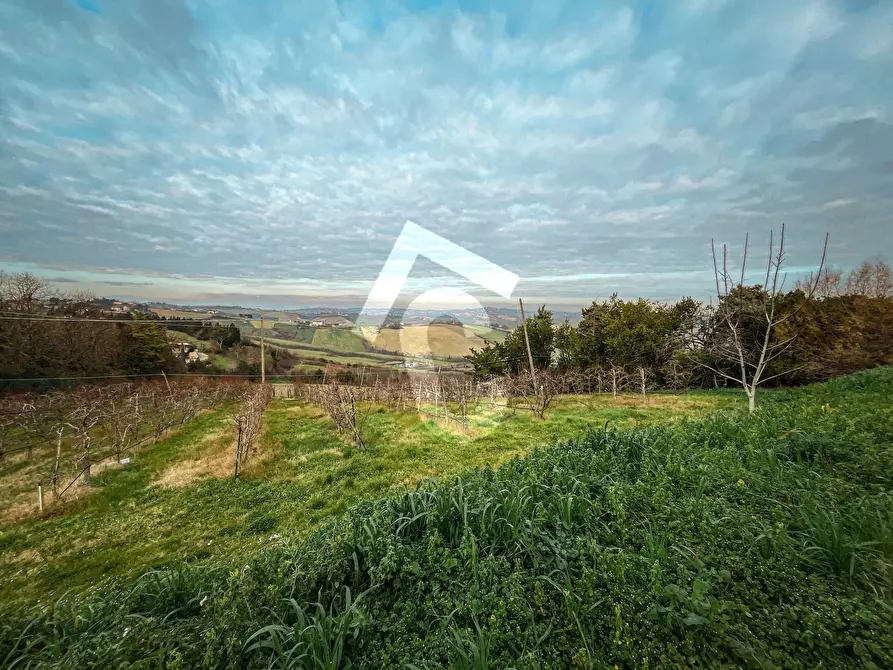 Immagine 12 di Terreno edificabile in vendita  a Jesi