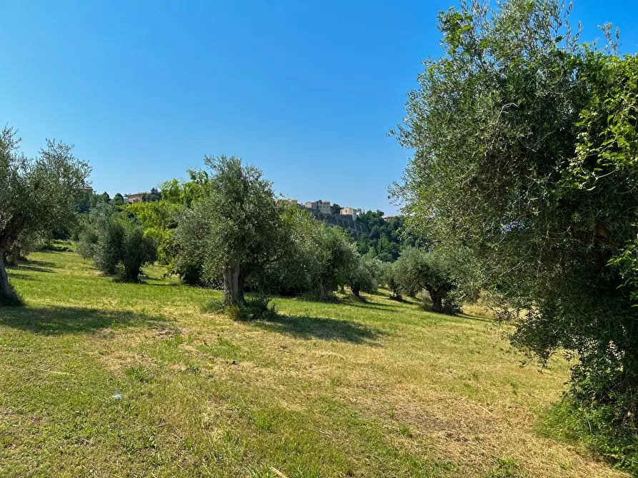 Immagine 16 di Rustico / casale in vendita  a Maiolati Spontini