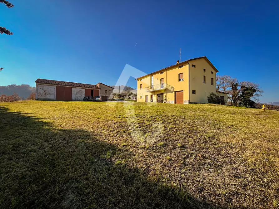 Immagine 7 di Rustico / casale in vendita  a Staffolo