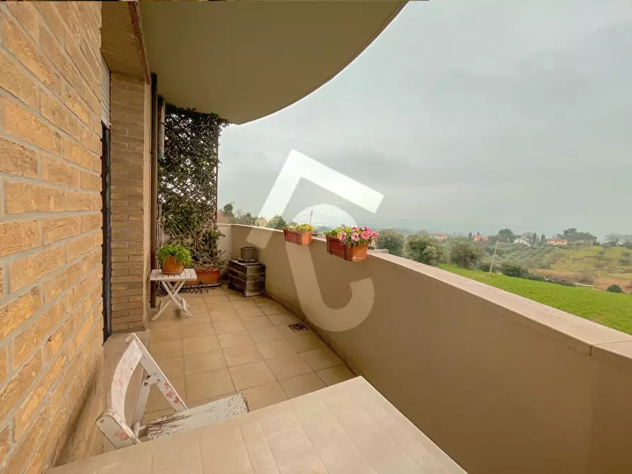 Immagine 6 di Trilocale in affitto  a Monsano