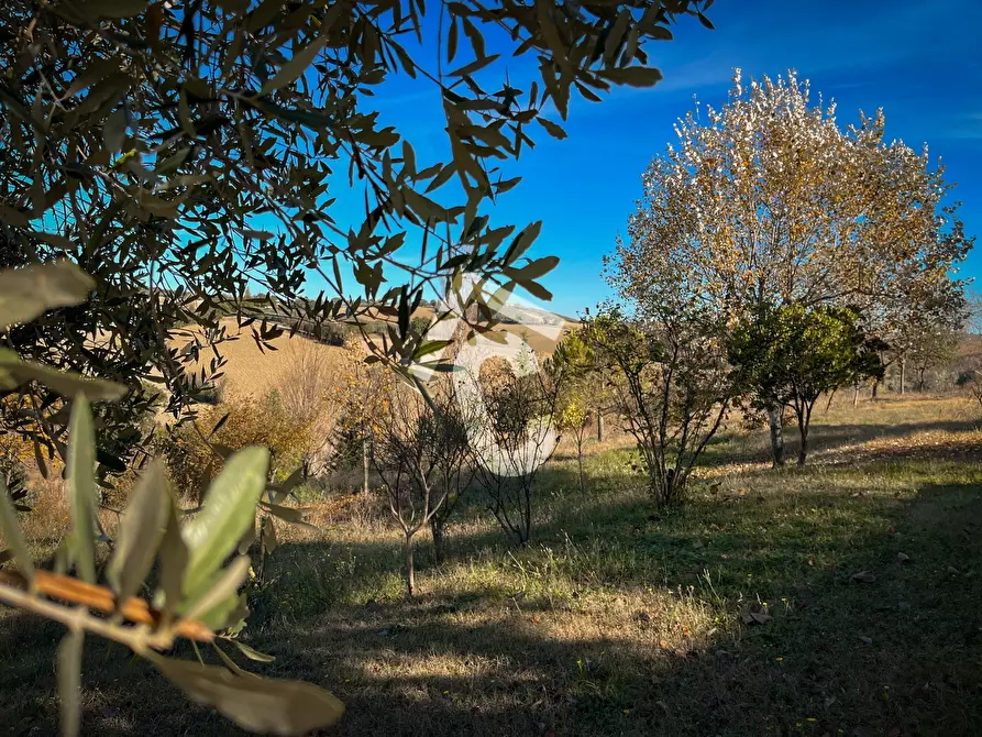 Immagine 41 di Rustico / casale in vendita  a Senigallia