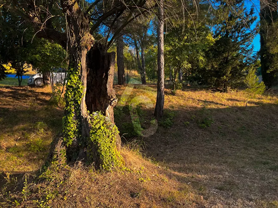 Immagine 27 di Rustico / casale in vendita  a Jesi