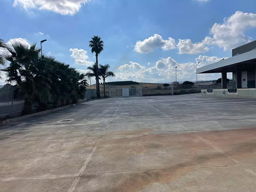 Immagine 5 di Capannone industriale in affitto  a Scordia