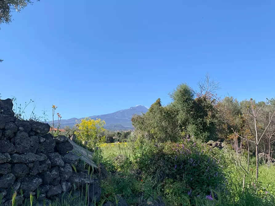 Immagine 1 di Terreno agricolo in vendita  a Tremestieri Etneo