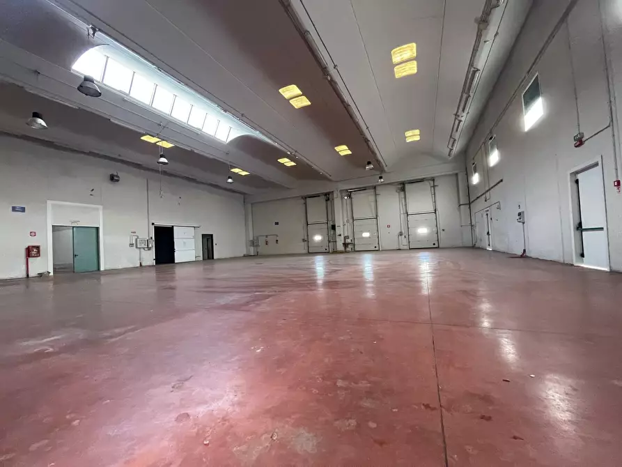 Immagine 8 di Capannone industriale in vendita  a Scordia