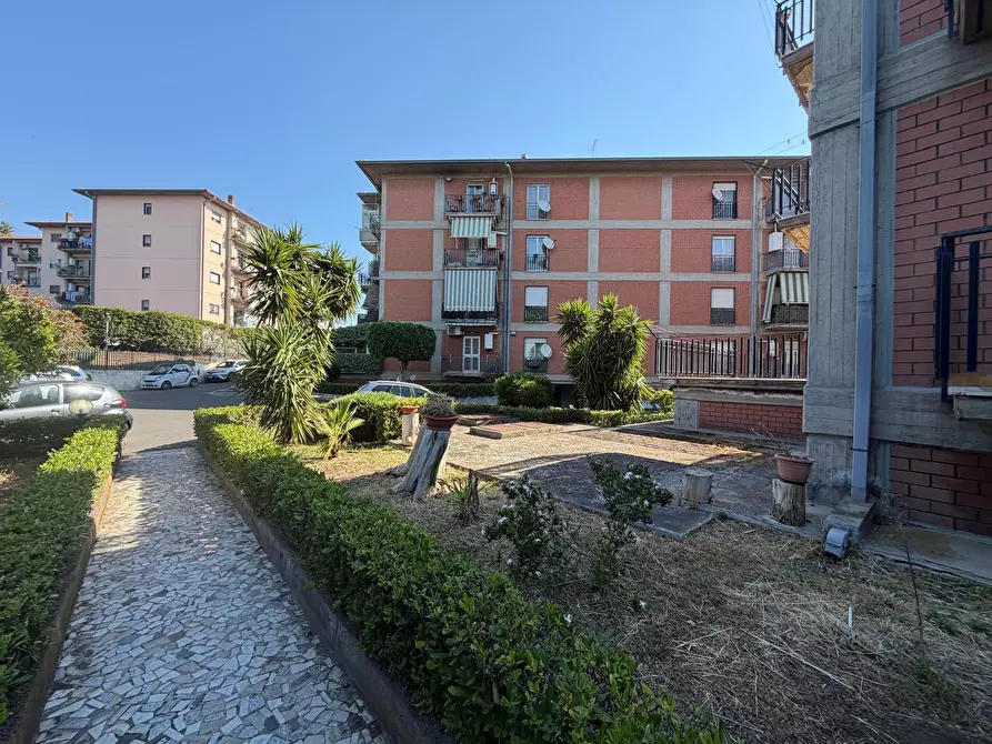 Immagine 18 di Appartamento in vendita  a Gravina Di Catania