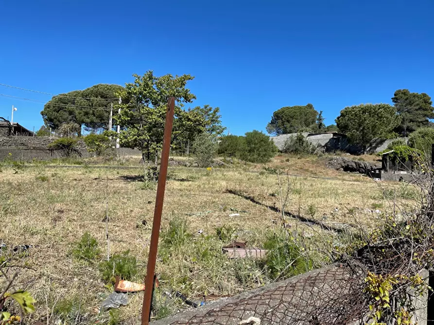 Immagine 6 di Terreno industriale in vendita  a Pedara