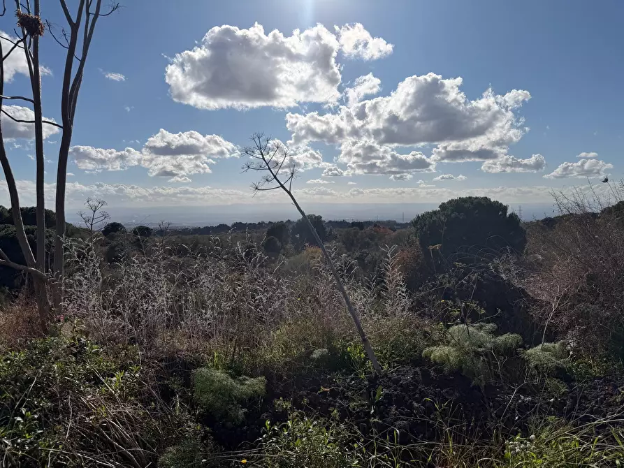 Immagine 2 di Terreno agricolo in vendita  a Nicolosi