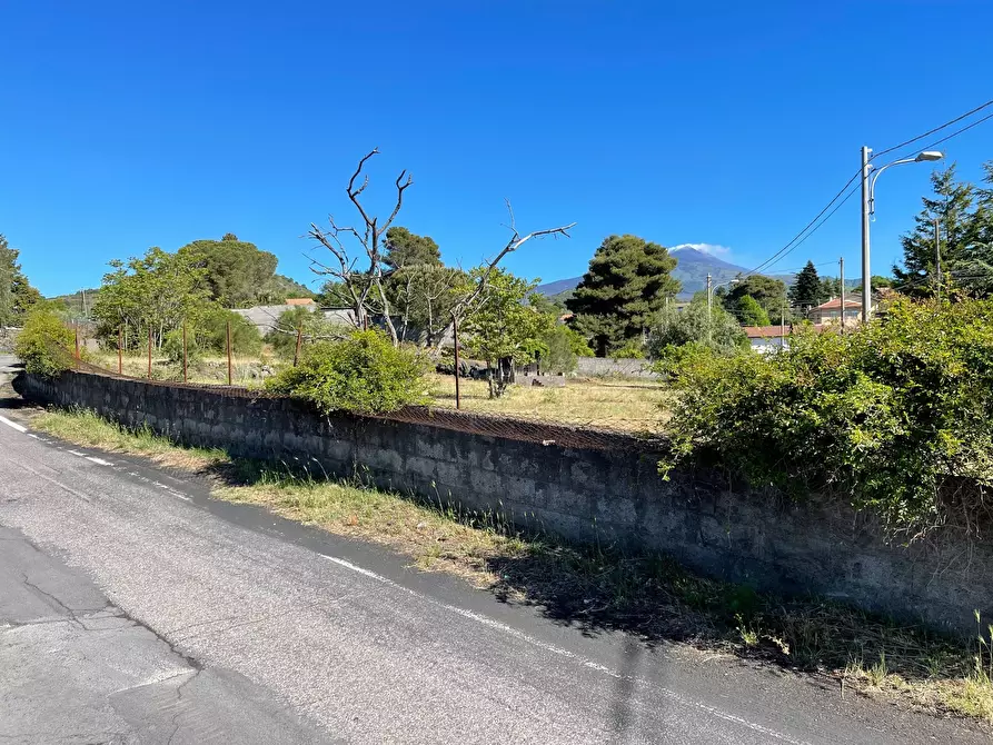 Immagine 3 di Terreno industriale in vendita  a Pedara