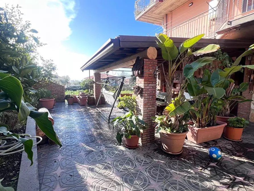 Immagine 3 di Appartamento in vendita  a Mascalucia