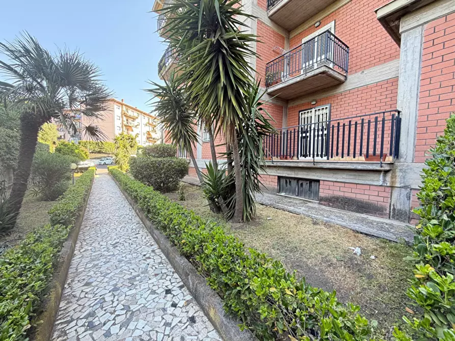 Immagine 17 di Appartamento in vendita  a Gravina Di Catania