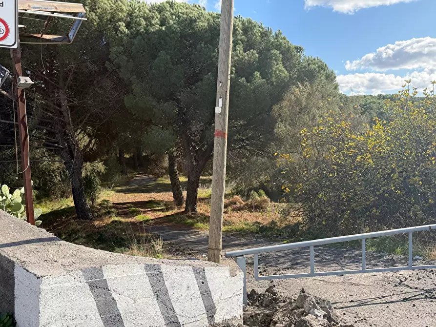 Immagine 16 di Terreno agricolo in vendita  a Nicolosi