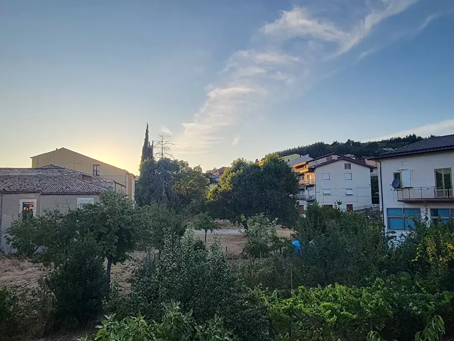 Immagine 36 di Casa indipendente in vendita  in Via Giotto 22 a Acri