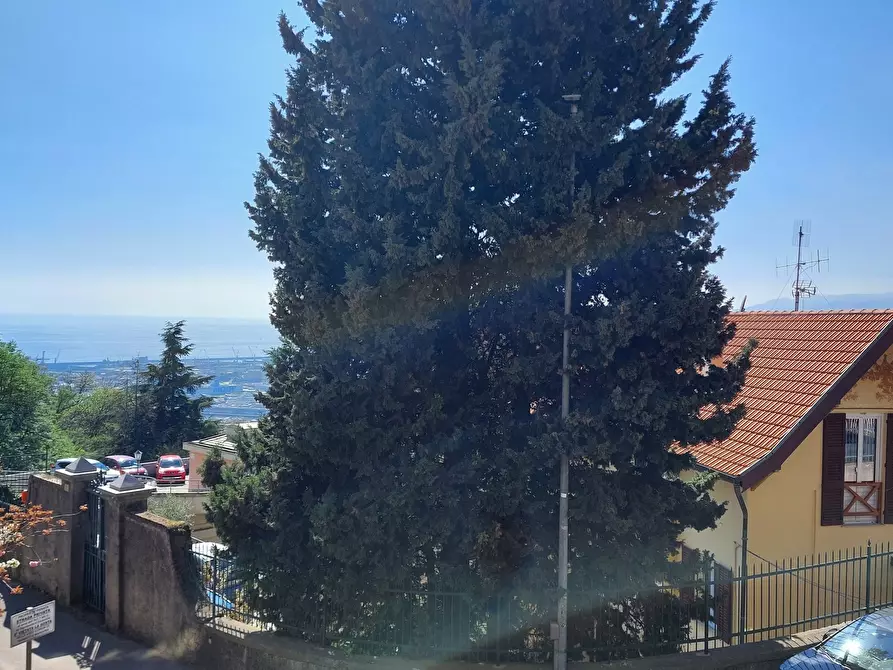 Immagine 34 di Trilocale in vendita  in Via Domenico Chiodo 25 a Genova