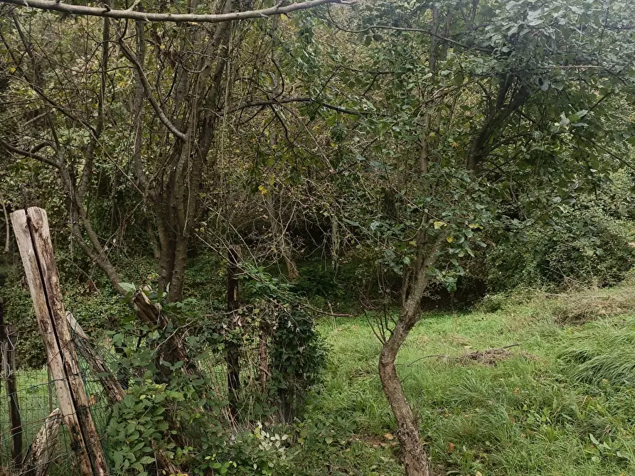 Immagine 28 di Casa indipendente in vendita  in Via Calcinara di Torbi 19 a Ceranesi