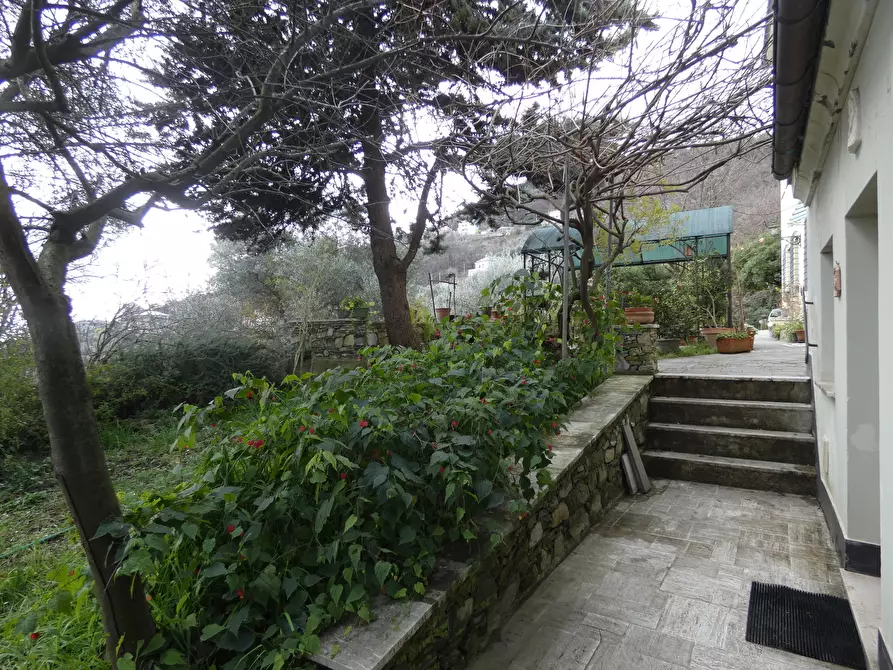 Immagine 48 di Casa indipendente in vendita  a Genova