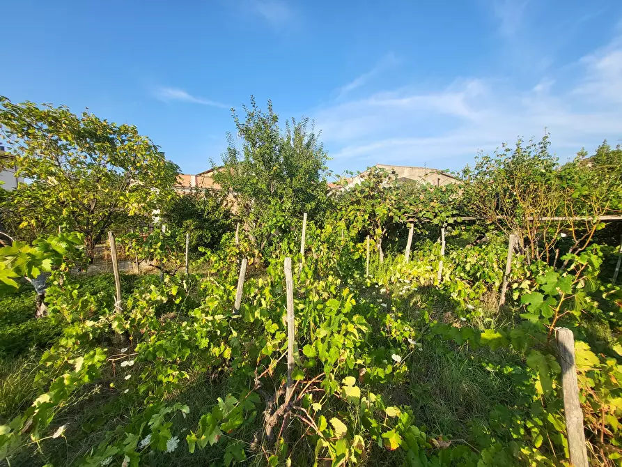 Immagine 104 di Casa indipendente in vendita  in Via Giotto 22 a Acri