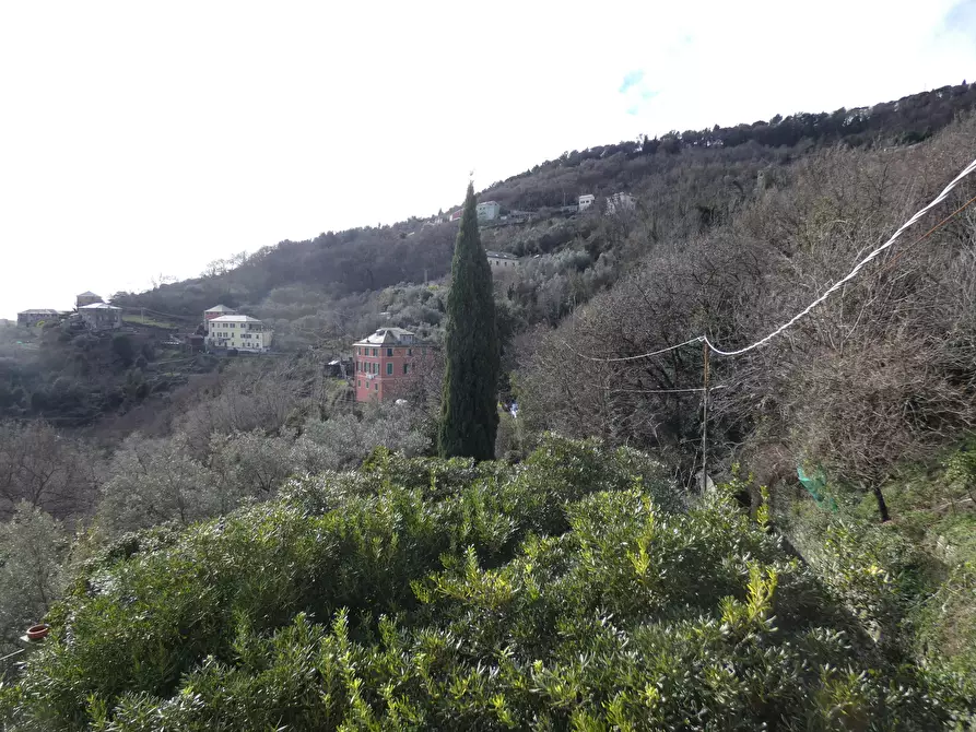 Immagine 22 di Casa indipendente in vendita  a Genova