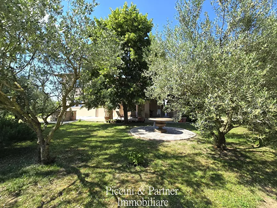 Immagine 6 di Villa in vendita  in Località Castagni 2 a Castiglione Del Lago