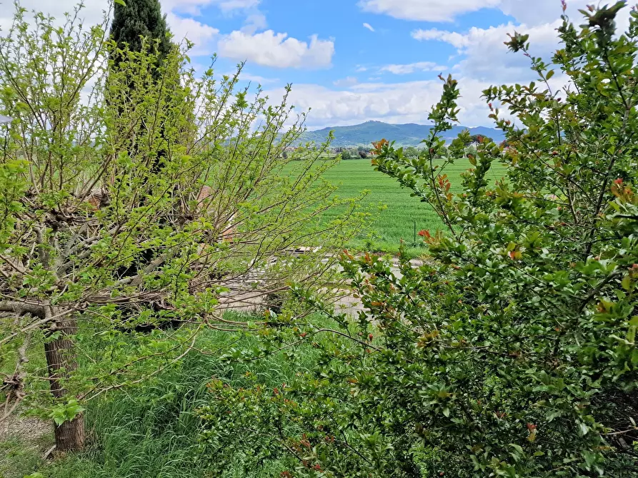 Immagine 47 di Rustico / casale in vendita  in 33CF+W9 Castiglione del Lago PG, Italia a Castiglione Del Lago