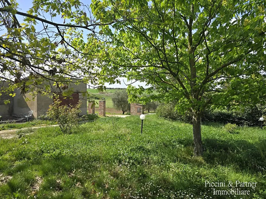 Immagine 2 di Rustico / casale in vendita  in Via Paganico 2 a Castiglione Del Lago
