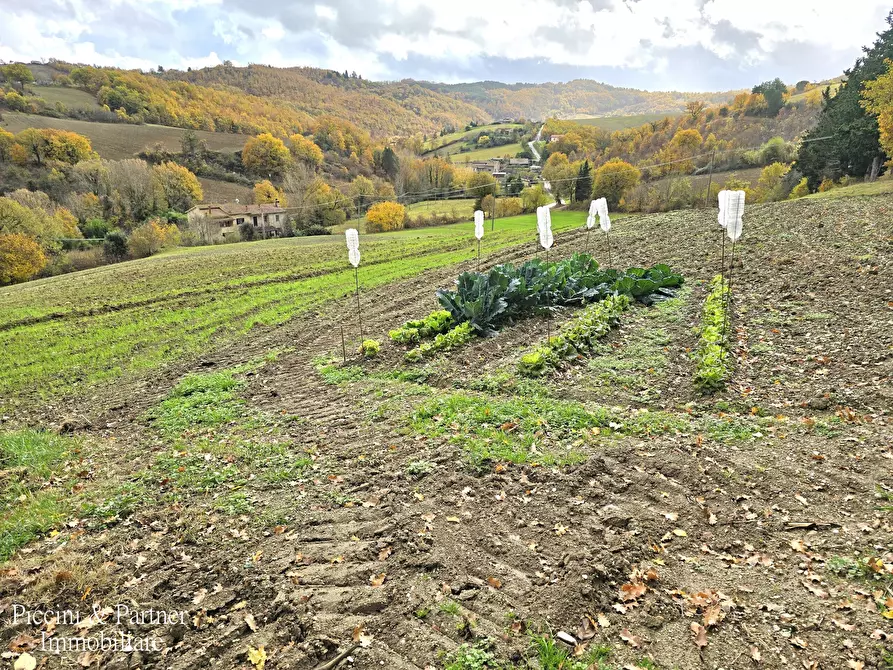 Immagine 12 di Terreno agricolo in vendita  in Località Colonnata a Gubbio