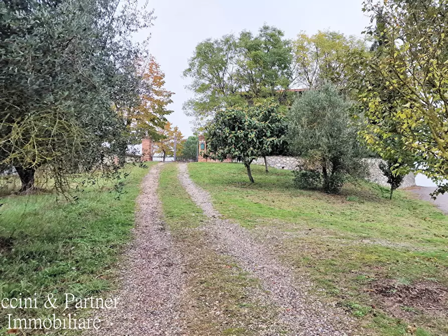 Immagine 64 di Rustico / casale in vendita  in Località Guidonami a Castiglione Del Lago