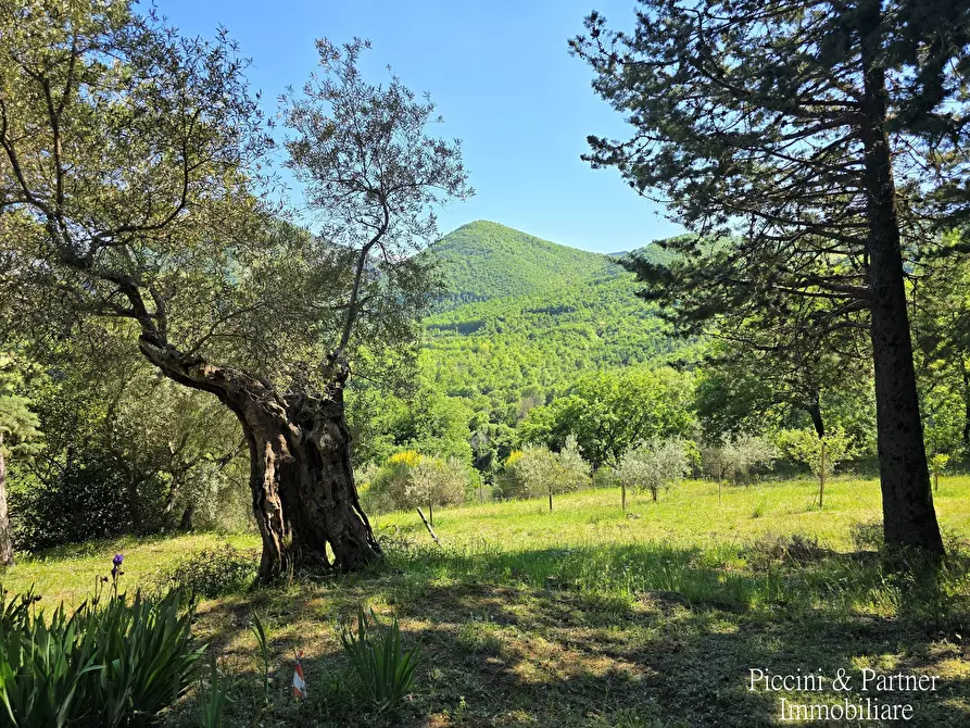 Immagine 6 di Rustico / casale in vendita  in Migianella a Umbertide