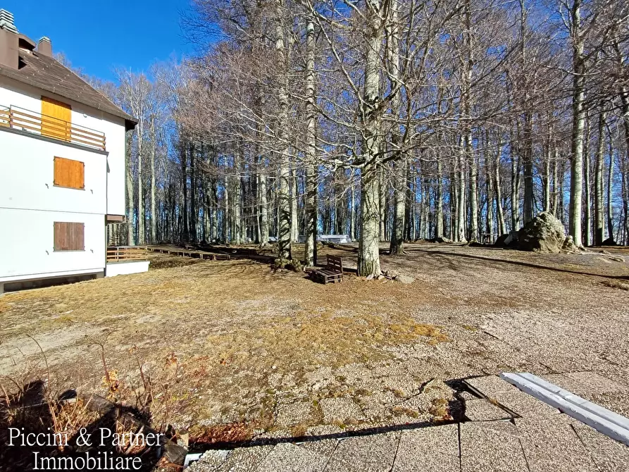 Immagine 3 di Bilocale in vendita  in Prato della Marsiliana Monte Amiata a Seggiano